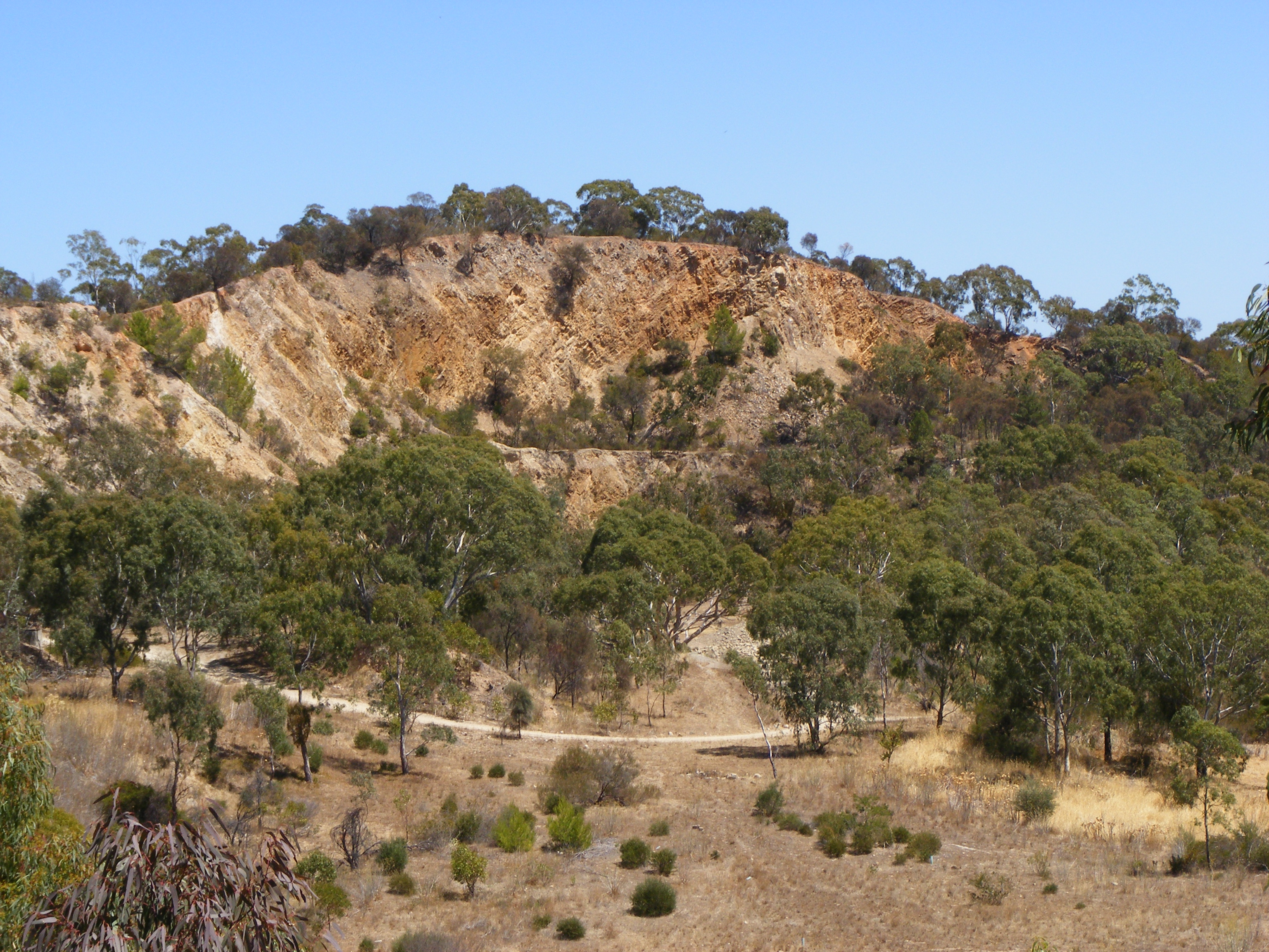 Yellowtail Loop