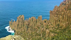 Cape Raoul Track