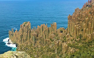 Cape Raoul Track