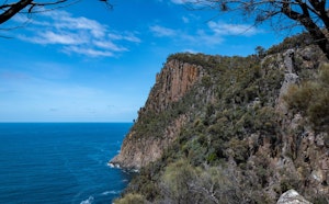 Fluted Cape Walk