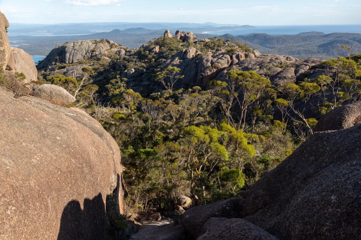 Mount Amos 