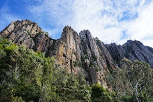Organ Pipes and Pinnacle Track