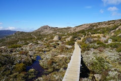 Tarn Shelf 