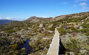 Tarn Shelf