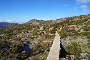 Tarn Shelf 