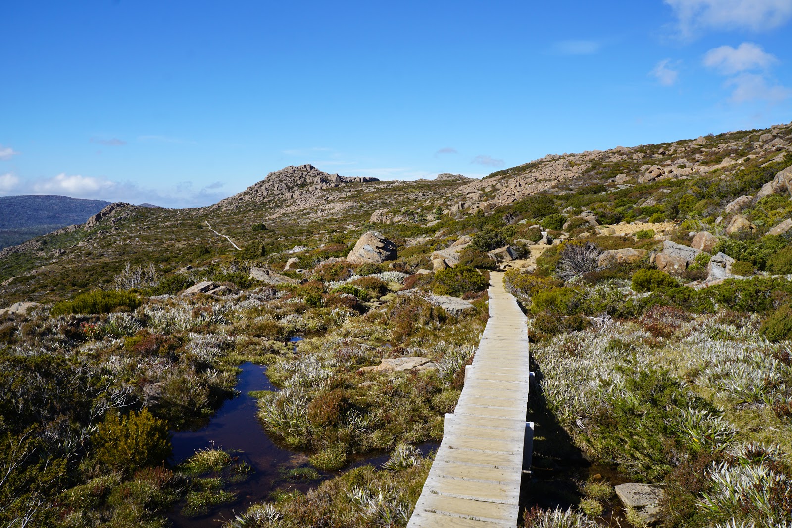 Tarn Shelf 