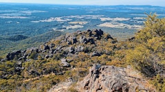 Boronia Peak