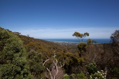  Cape Schanck via Two Bays Walking Track