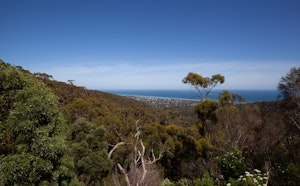 Cape Schanck via Two Bays Walking Track