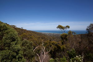  Cape Schanck via Two Bays Walking Track
