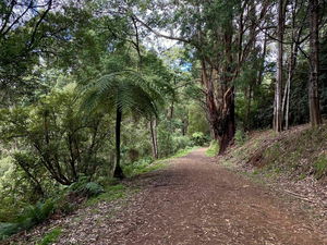 Dandenong Ranges Loop