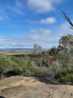 Flinders Peak Eastern Side Loop