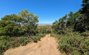 Flinders Peak Loop via West and East Track