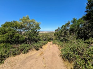 Flinders Peak Loop via West and East Track