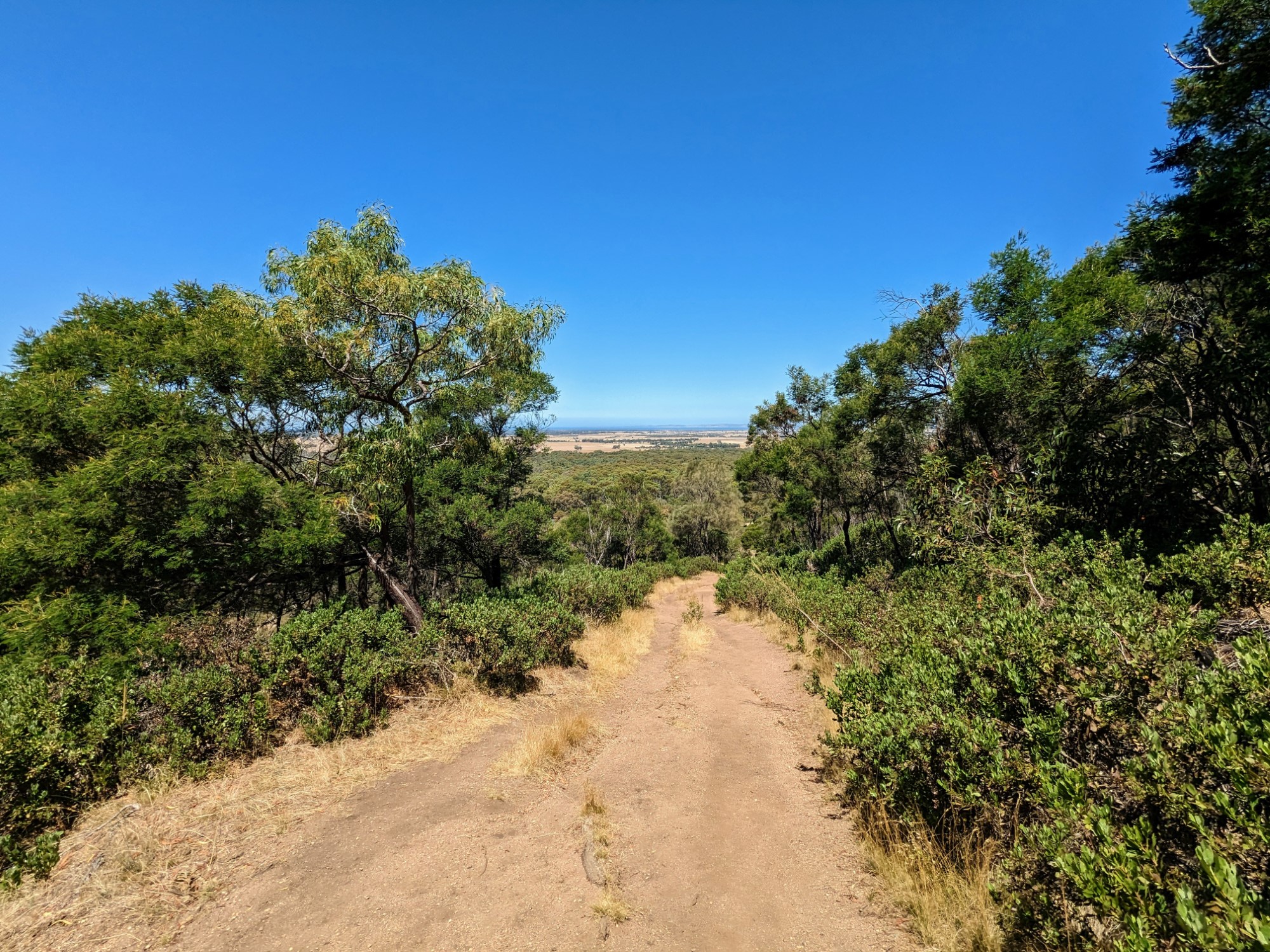 Flinders Peak Loop via West and East Track