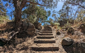 Flinders Peak Walk