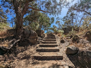 Flinders Peak Walk 