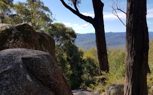 Four Brothers Rocks Loop