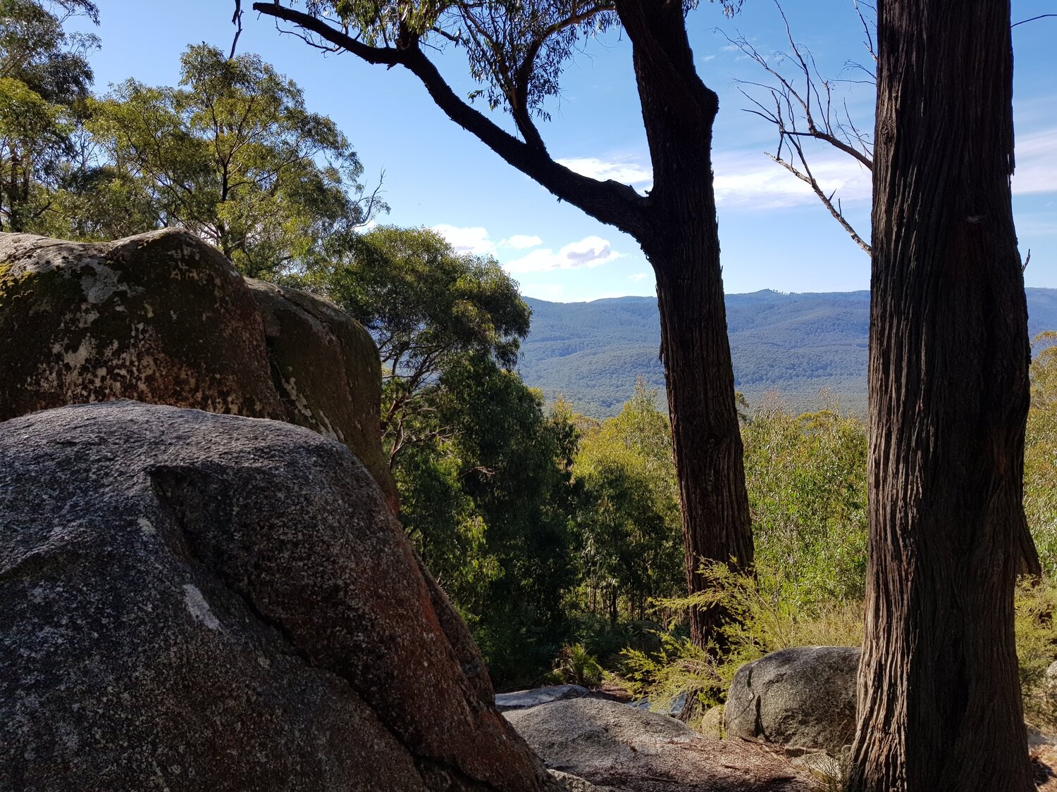 Four Brothers Rocks Loop