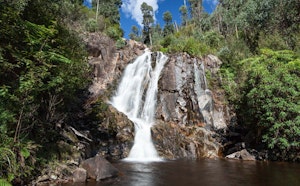 Keppell Lookout and Steavenson Falls