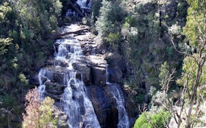 Masons Falls and Mount Sugarloaf Circuit