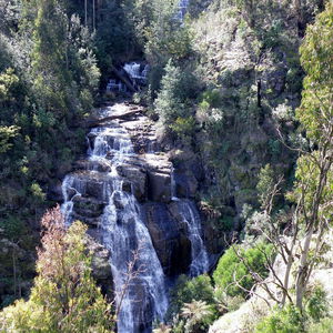 Masons Falls and Mount Sugarloaf Circuit