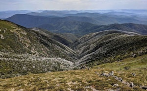 Mount Bogong Loop