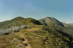 Mount Feathertop via the Razorback