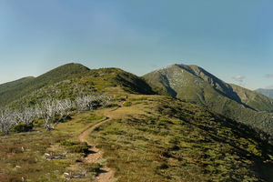 Mount Feathertop via the Razorback