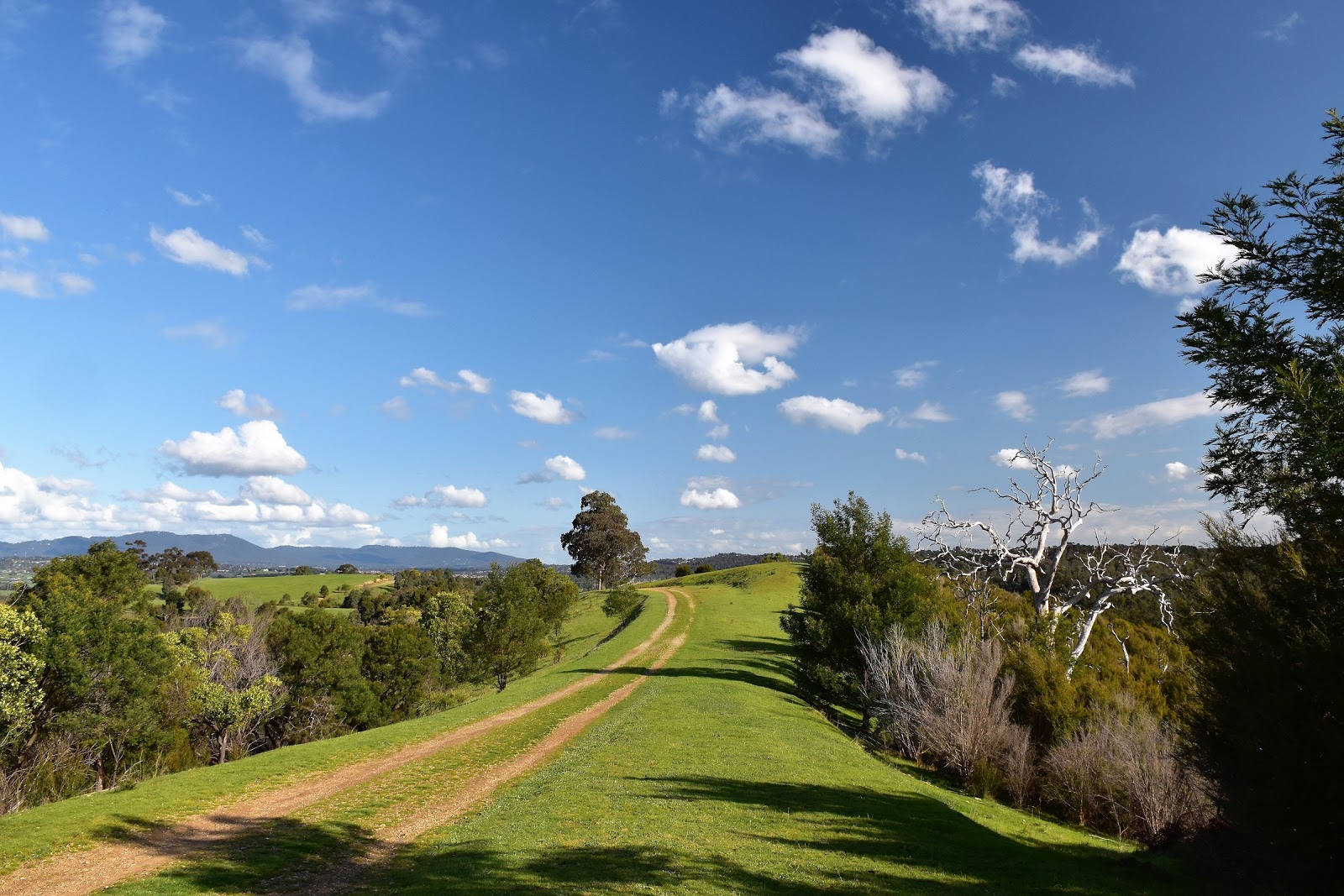 Mount Lofty Park