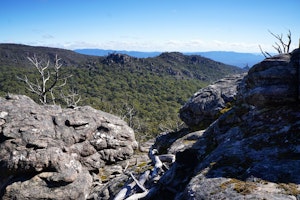 Mount Rosea Track