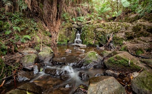 Sherbrooke Falls Loop