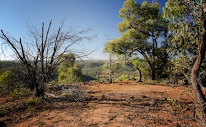 Ted Errey Nature Circuit and Anakie Gorge