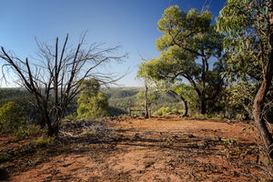 Ted Errey Nature Circuit and Anakie Gorge