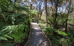 Two Bays Walking Trail to McKellar and King Falls