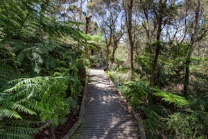 Two Bays Walking Trail to McKellar and King Falls 