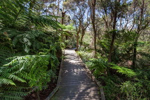 Two Bays Walking Trail to McKellar and King Falls 