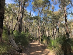 Mason Bird Heritage Trail Loop