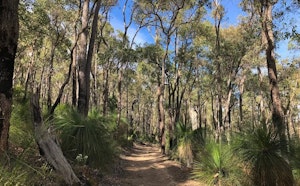 Mason Bird Heritage Trail Loop
