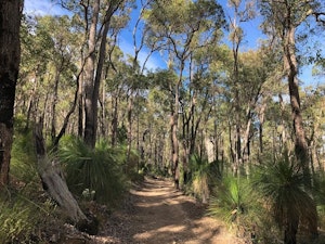 Mason Bird Heritage Trail Loop