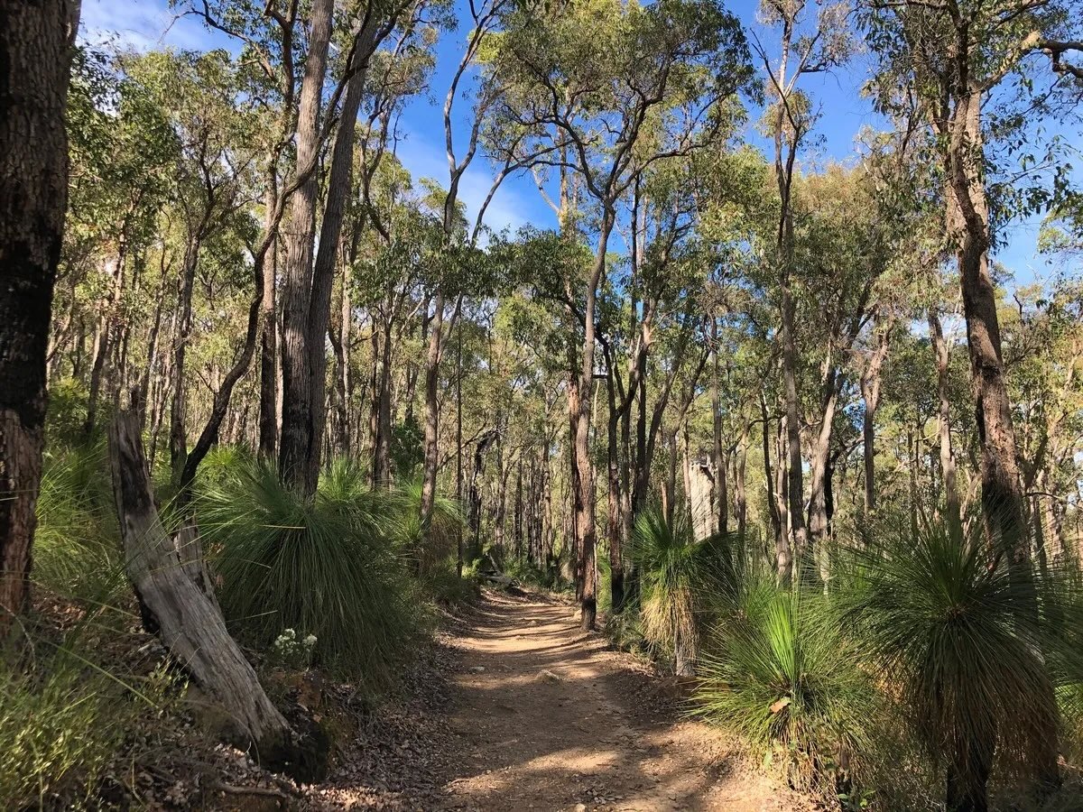 Mason Bird Heritage Trail Loop