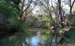 Helena River Walk
