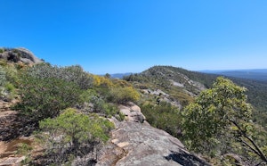Mount Cooke Loop