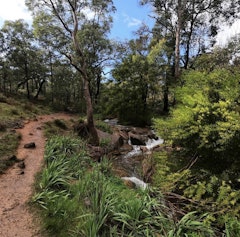 Whistlepipe Gully and Lesmurdie Falls Loop