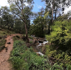 Whistlepipe Gully and Lesmurdie Falls Loop