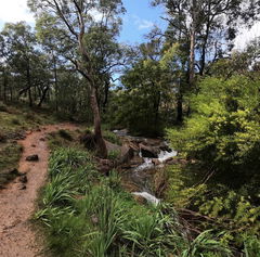 Whistlepipe Gully and Lesmurdie Falls Loop