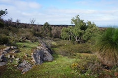 Wungong Gorge Walk
