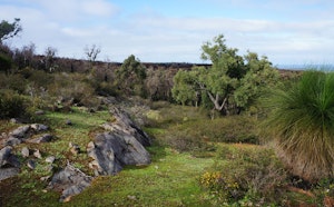Wungong Gorge Walk