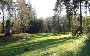 Arboretum de Groenendael
