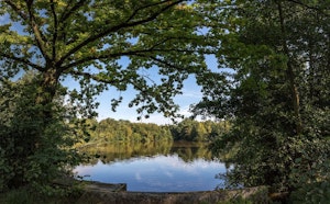 Domaine provincial de Bokrijk